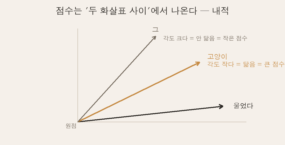 원점에서 뻗은 세 화살표(울었다·고양이·그), 울었다와 고양이는 각도가 작고 그와는 큰 그림
