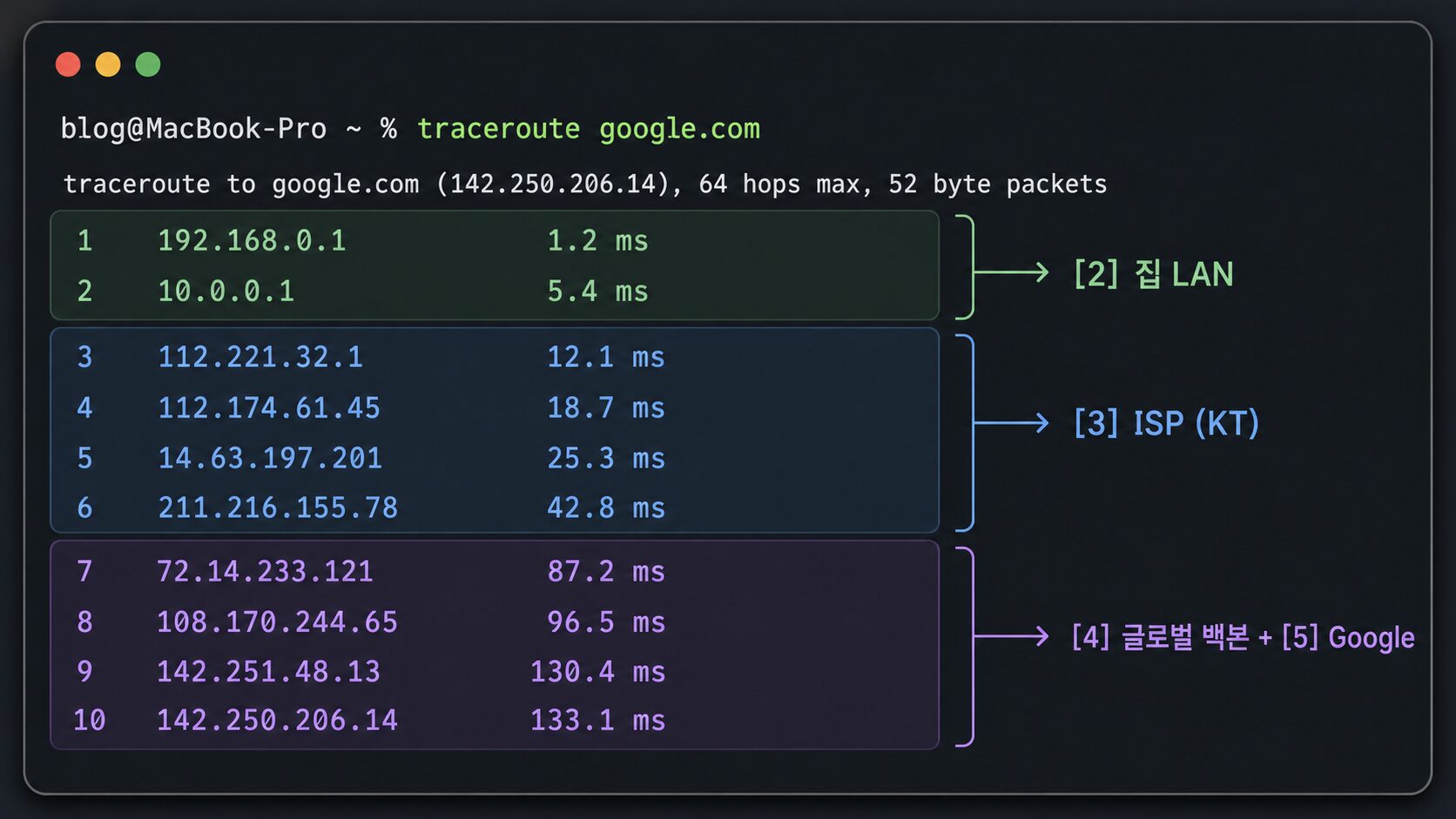 인터넷 네트워크 차이 — traceroute 결과 5단 동심원