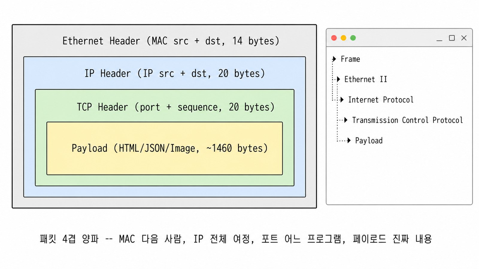 IP 주소 패킷 4겹 양파 — Ethernet/IP/TCP/Payload nested 구조